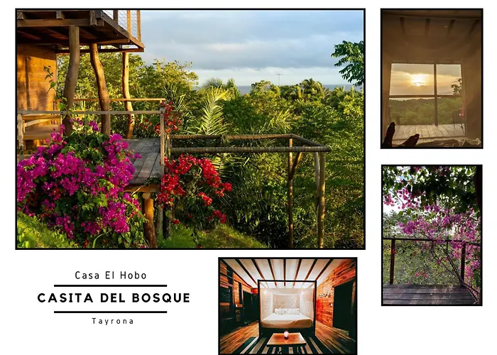 Casa Del Bosque Tayrona
